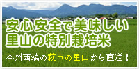 農家直送の安全な無農薬野菜とお米の販売